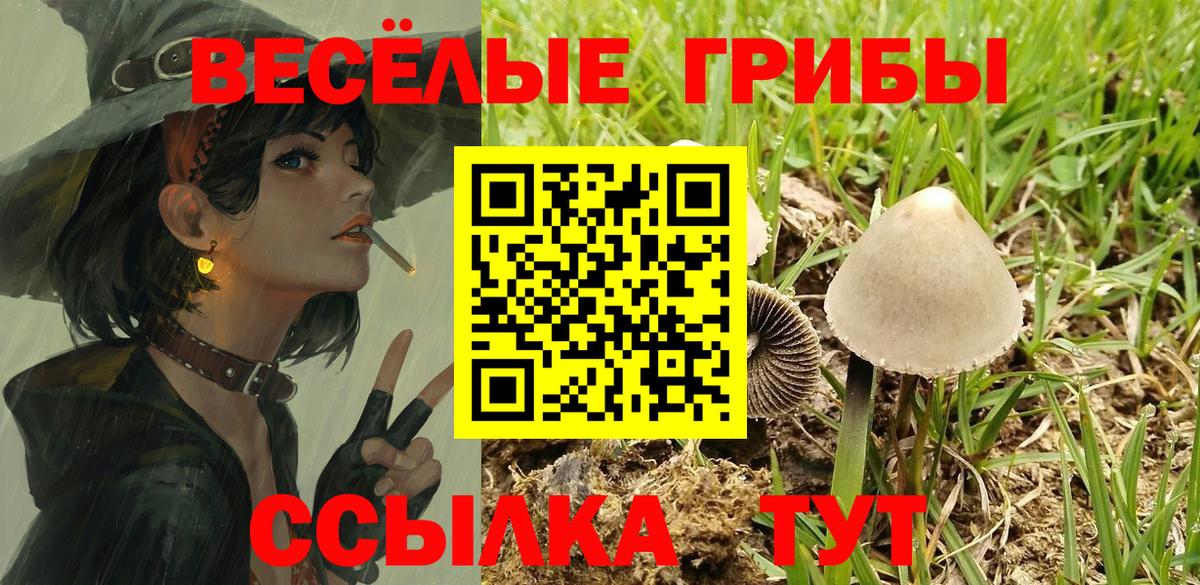 Галлюциногенные грибы Cubensis Междуреченск