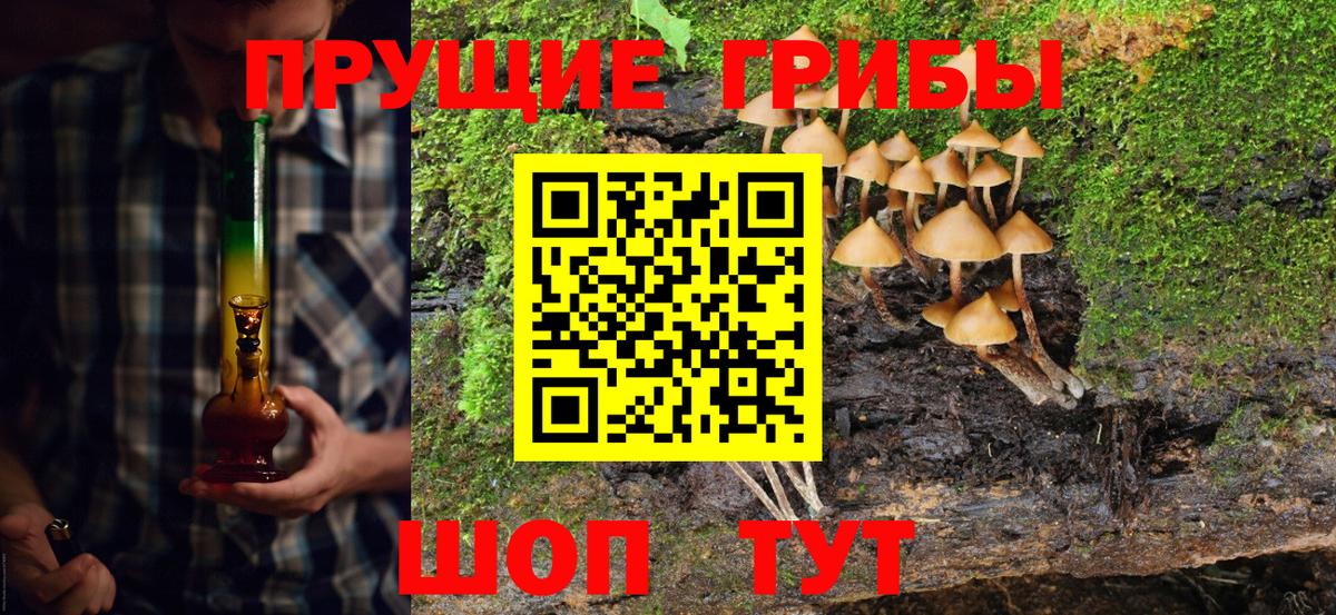 Галлюциногенные грибы ЛСД  Вход с VPN  цена   Междуреченск 